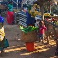 tanzania malnutrizione